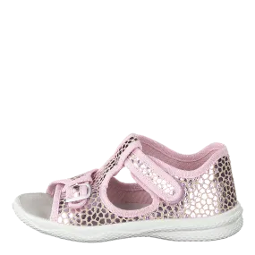 Polly Pink Polly Pink
